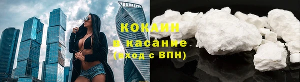 стаф Сосновка